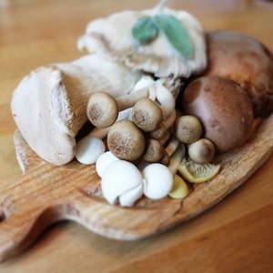 Are Mushrooms Healthy For Labrador Dogs 