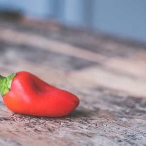 Are Peppers Bad For Labrador Dogs 