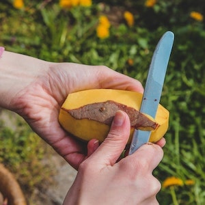 Are Potato Skins Dangerous For Labrador dogs 