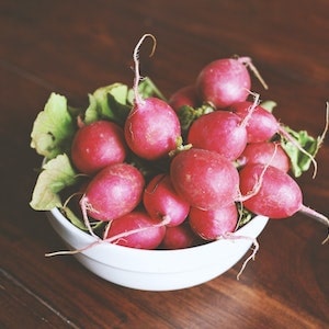 Are Radishes Toxic to Labrador dogs 