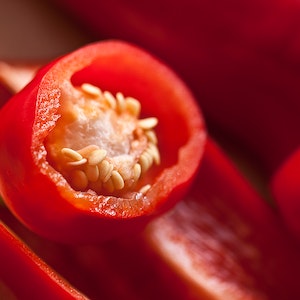 Benefits Of Feeding Bell Peppers To Labrador Dogs 