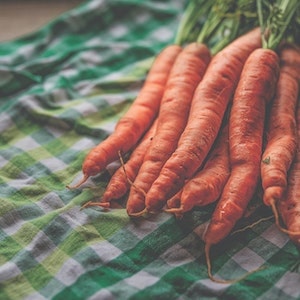 Can Carrots Be Bad For Labrador dogs