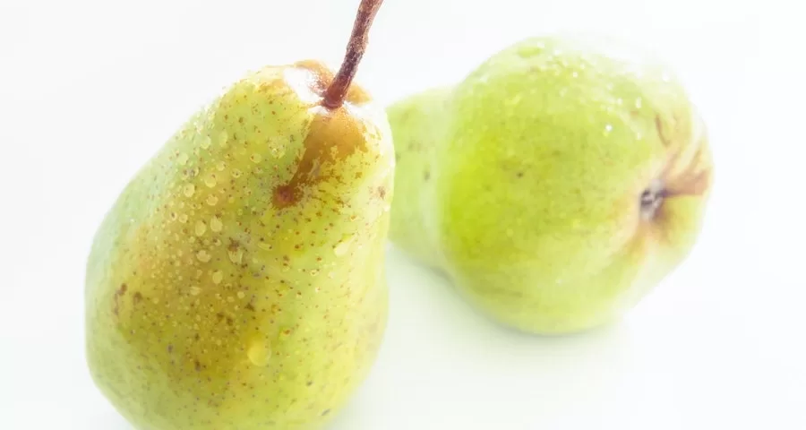 Can Dogs Eat Asian Pears