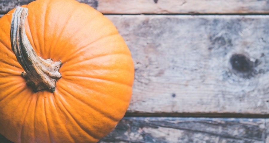 Can Labrador Dog Eat Raw Pumpkin