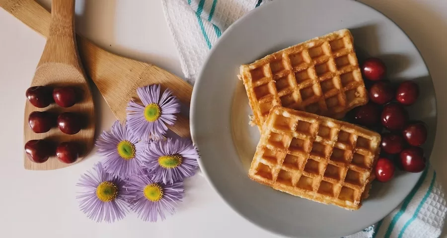 Can Labrador Dog Eat Waffle