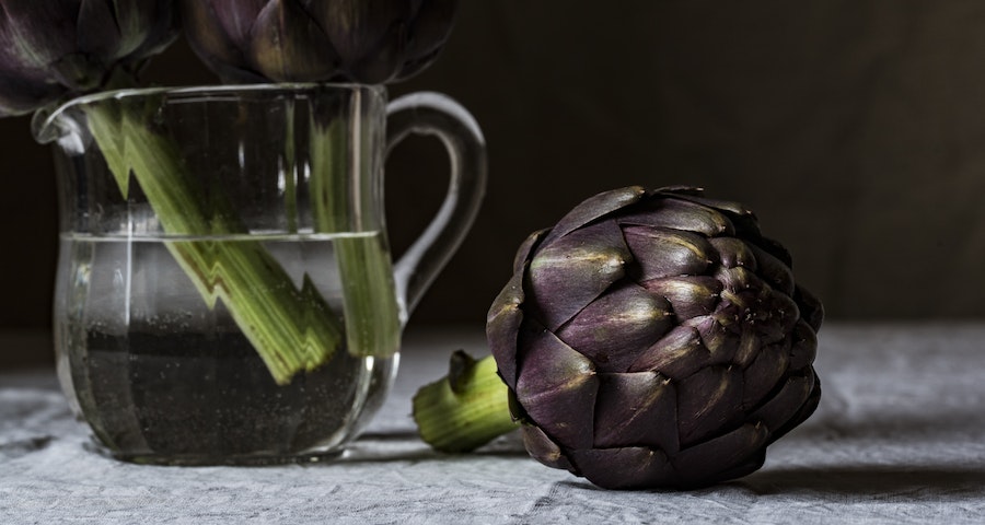 Can Labrador Dogs Eat Artichokes