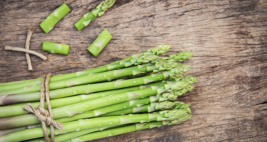 Can Labrador Dogs Eat Asparagus