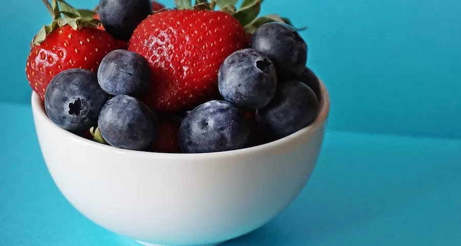 Can Labrador Dogs Eat Berries 