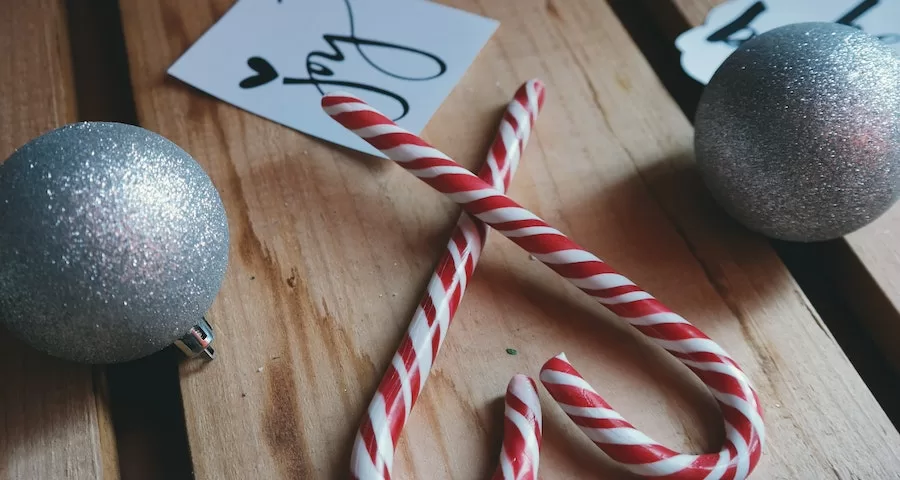 Can Labrador Dogs Eat Candy Cane