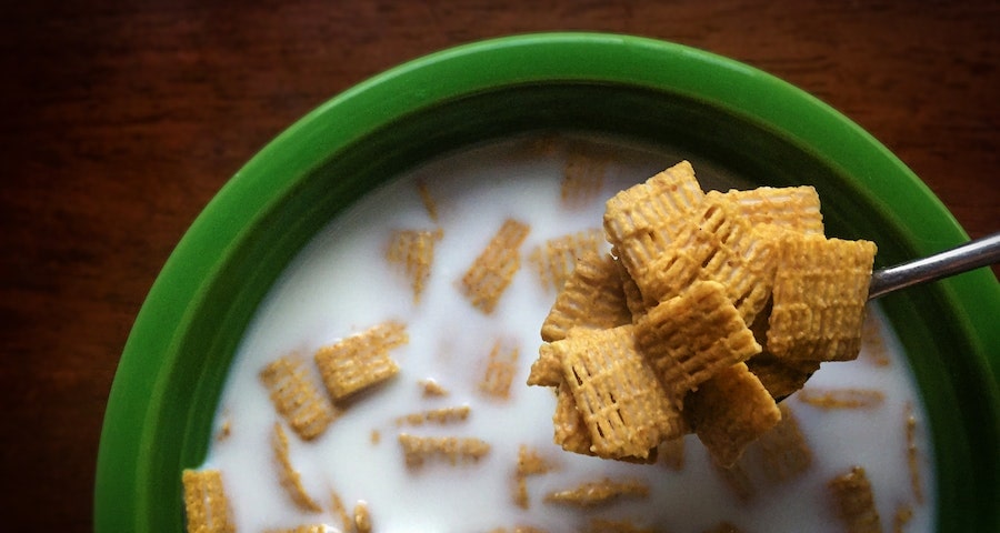 Can Labrador Dogs Eat Cereal