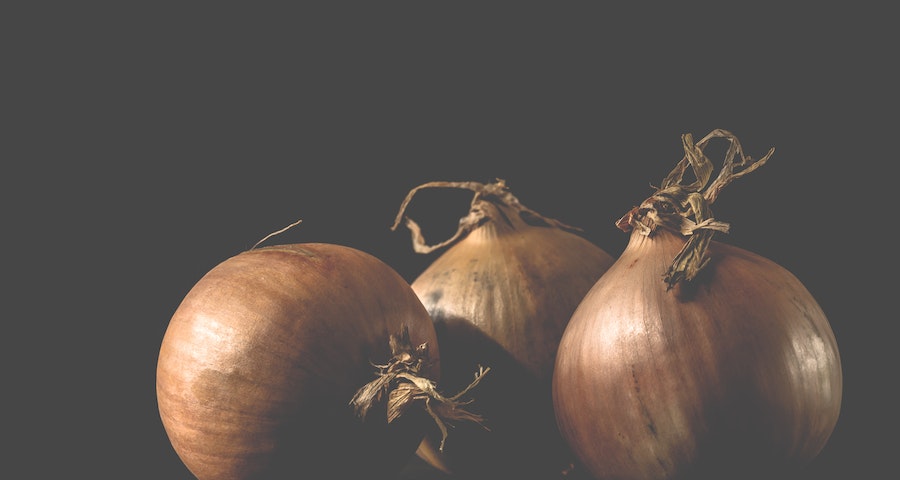 Can Labrador Dogs Eat Onions