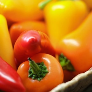 Can Labrador Dogs Eat Red And Yellow Peppers  