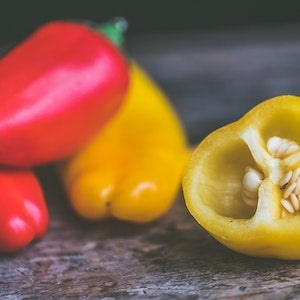 Can Labrador Dogs Eat Red Peppers