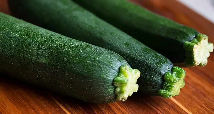 Can Labrador Dogs Eat Zucchini