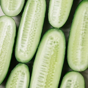 Can Labrador dogs Drink Cucumber Water