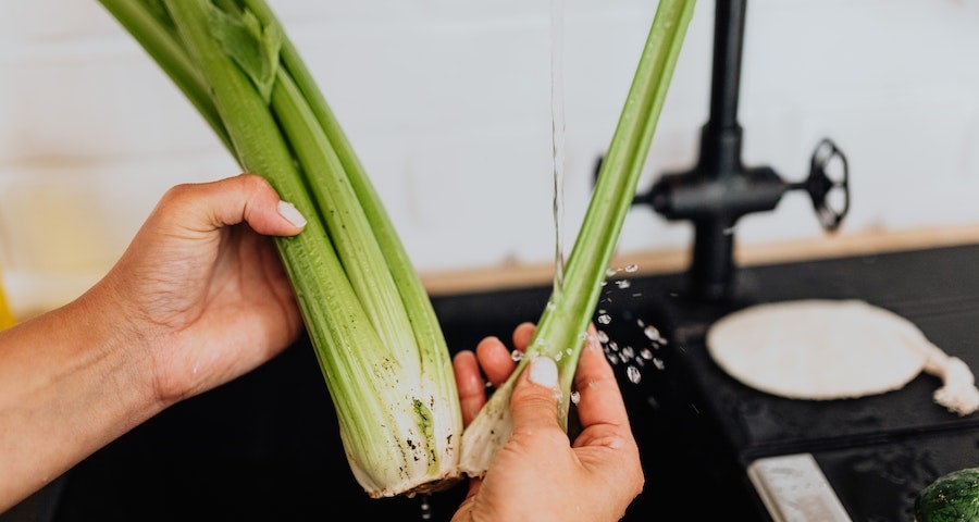 Can Labrador dogs Eat Celery