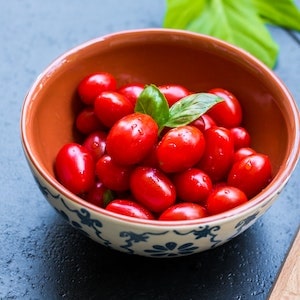 Can Labrador dogs Eat Cherry Tomato Plants 