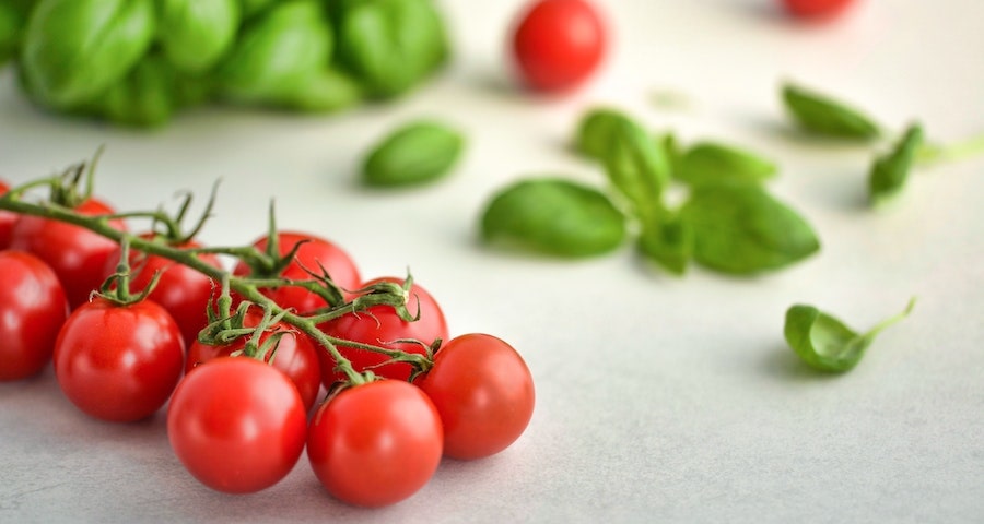 Can Labrador dogs Eat Cherry Tomatoes 