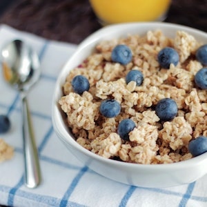 Can Labrador dogs Eat Fiber One Cereal 