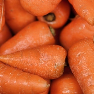 Can Labrador dogs Eat Frozen Carrots