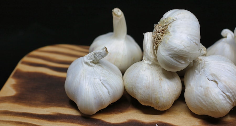 Can Labrador dogs Eat Garlic