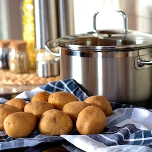 Can Labrador dogs Eat Mashed Potatoes And Gravy