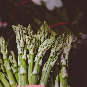 Can Labrador dogs Eat Raw Asparagus