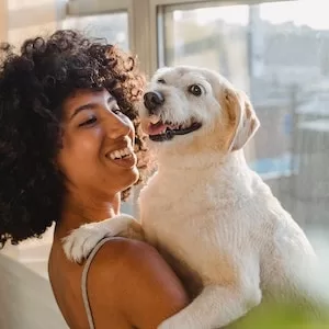 Can Labrador dogs Eat Steamed Yams 