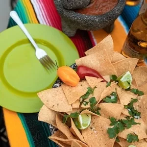 Can Labrador dogs Eat Tortilla Chips As Labrador dog Treats 