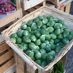 Do Labrador dogs Like Brussels Sprouts