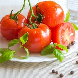  Do Tomatoes Have Health Benefits For Labrador dogs 