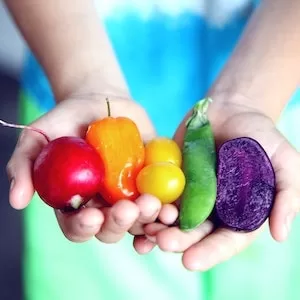 Fruits Labrador dogs Can Eat 