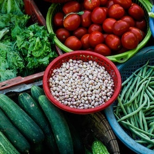 Fun Ways To Feed Your Labrador dog Cucumber