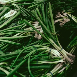 Green Onions Alternatives For Labrador Dogs 