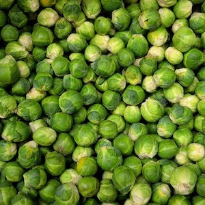 Health Benefits Of Giving Brussels Sprouts To Your Labrador dog