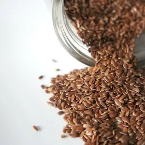 Health Concerns Of Flax Seeds For Labrador dogs 