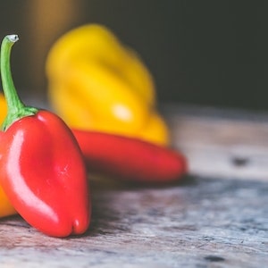 How Many Peppers Can Labrador Dogs Eat 