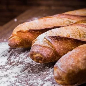 How Much Bread Can Labrador dogs Eat 