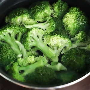 How Much Broccoli Can I Feed My Labrador dog