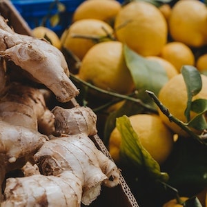 How Much Ginger Can Labrador dogs Eat