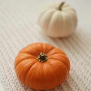 How To Make Labrador dog-Safe Pumpkin Cookies