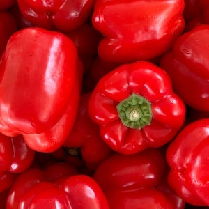 How To Serve Red Bell Peppers To Labrador Dogs 