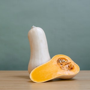 Is Butternut Squash Ok For Labrador dogs