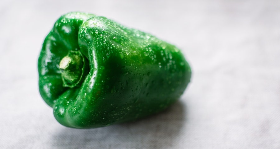 Is It Safe For Labrador Dogs To Eat Bell Peppers