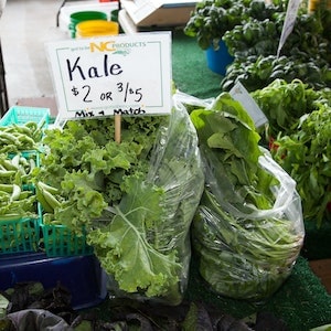 Is Kale Safe For Your Labrador Dog