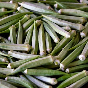 Is Okra Good For Labrador Dogs