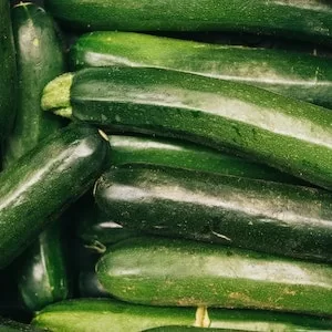 Is Zucchini Safe For Labrador dogs 