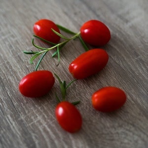 Nutritional Value Of Cherry Tomatoes For Labrador dogs 