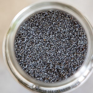 Potential Benefits Of Chia Seeds For Labrador dogs 