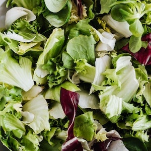 Raw Vs. Cooked Lettuce For Labrador dogs